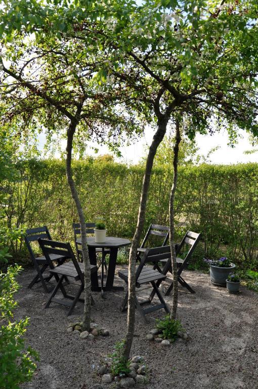 Kontakta Liselotte Abel Bed & Breakfast Vessigebro Luaran gambar